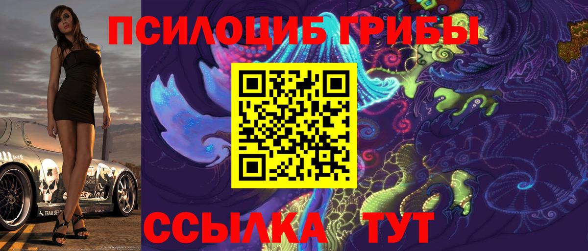Псилоцибиновые грибы прущие грибы Щёлково