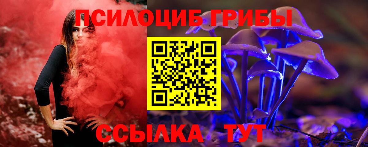 Псилоцибиновые грибы мицелий  Вход с VPN  Псилоцибиновые грибы Magic Shrooms  Щёлково 